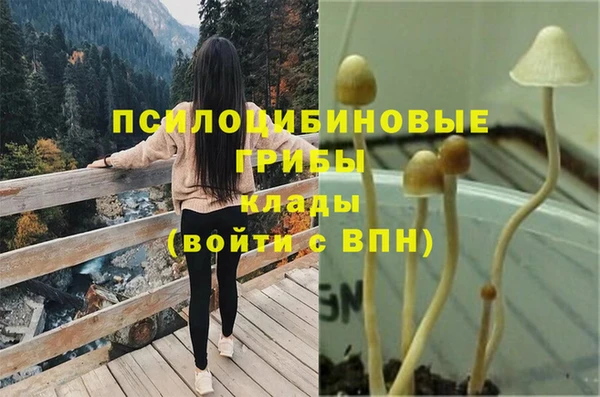 mix Иннополис
