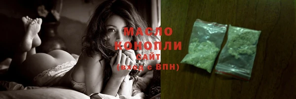 индика Сатка