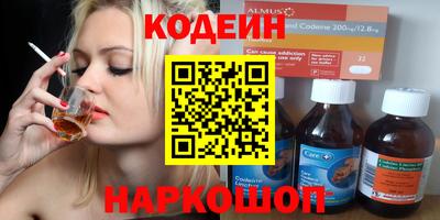 индика Заводоуковск
