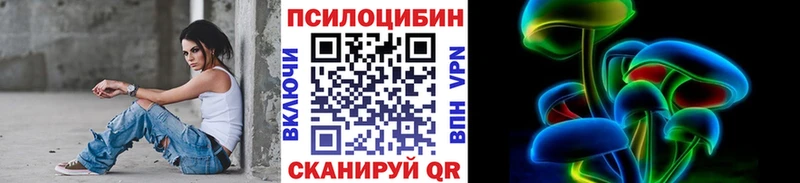 закладки  Луга  Псилоцибиновые грибы Psilocybe 