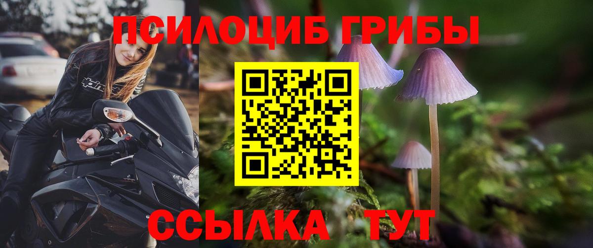 Псилоцибиновые грибы MAGIC MUSHROOMS Луга